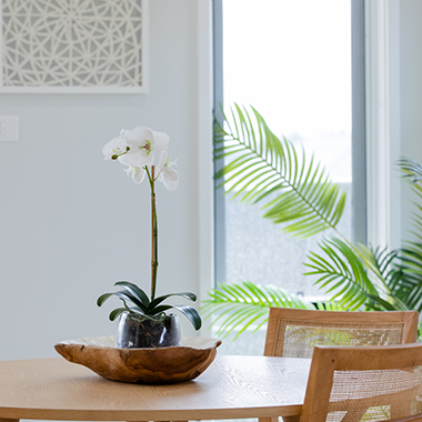 Dining table with plant inside bower residences by AVJennings located in Williamstown, VIC 3016. Townhouses for sale in Williamstown. 