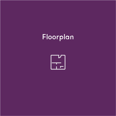 Purple Floor plan thumbnail with white text and icon for Evergreen Spring Farm by AVJennings located in Spring Farm, NSW 2570. Houses for sale spring farm, house and land packages Spring Farm. 