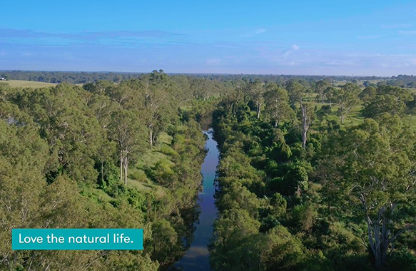 view the video of riverton jimboomba and see what it's like to live at Riverton